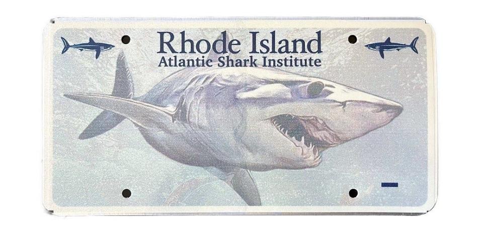 Motorcyclists can soon get RI charity shark license plates. Here’s how.