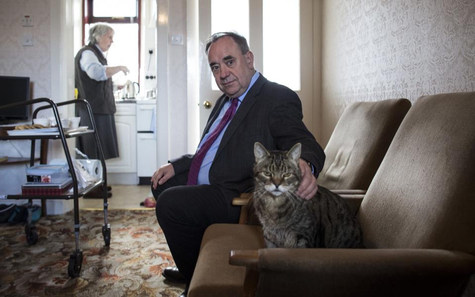 SNP to consider banning cats